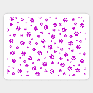 Paw Prints in Pink Magnet